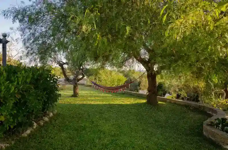 Antica Liama salentina in pietra con volta a botte e terrazza solarium panoramica