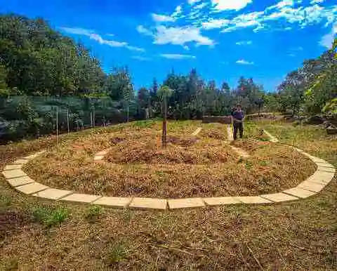 Orto sinergico di Case al Frantoio a Montesardo, nel Salento